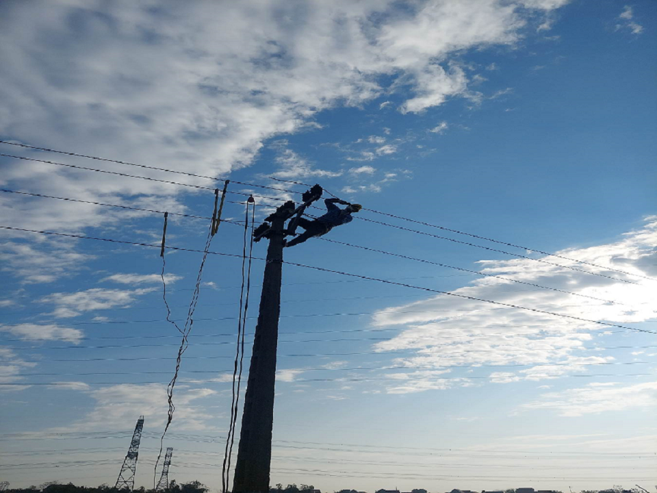 20220309_Anh bai viet DLHH