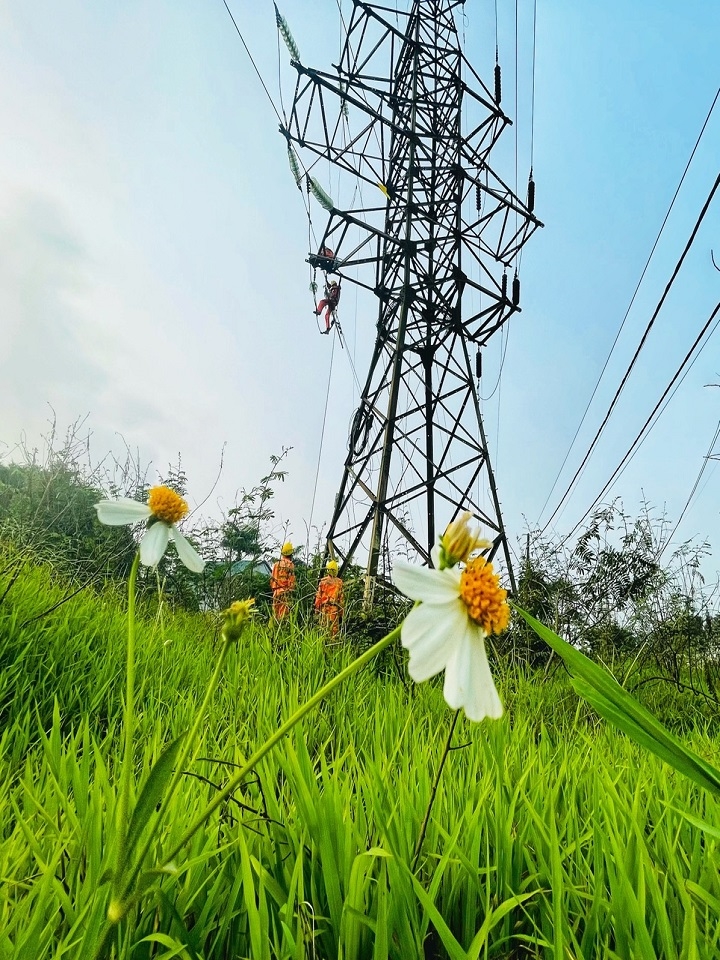 z3341433440874_d198a533d36d8c3596dc06e6dce3d2e7tct