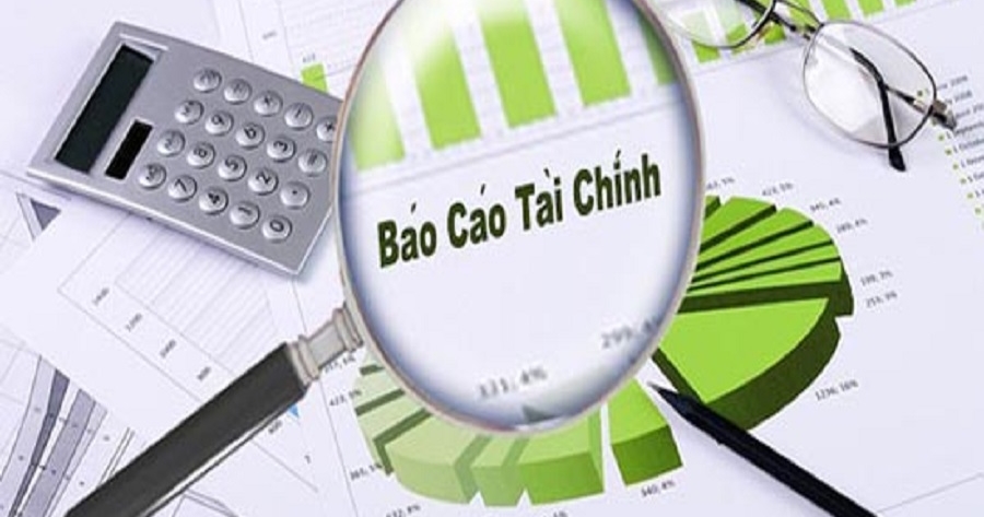 Báo cáo tài chính hợp nhất đã được kiểm toán của Tổng công ty Điện lực miền Bắc (năm tài chính kết thúc 31/12/2021)