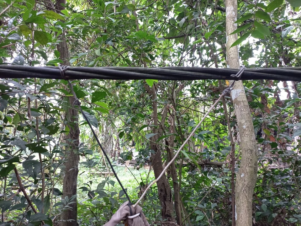 Ảnh 1 - Lợi dụng đường dây hạ áp chưa được cải tạo sau tiếp nhận lưới điện để vi phạm sử dụng điện tại xã Hương Bình.