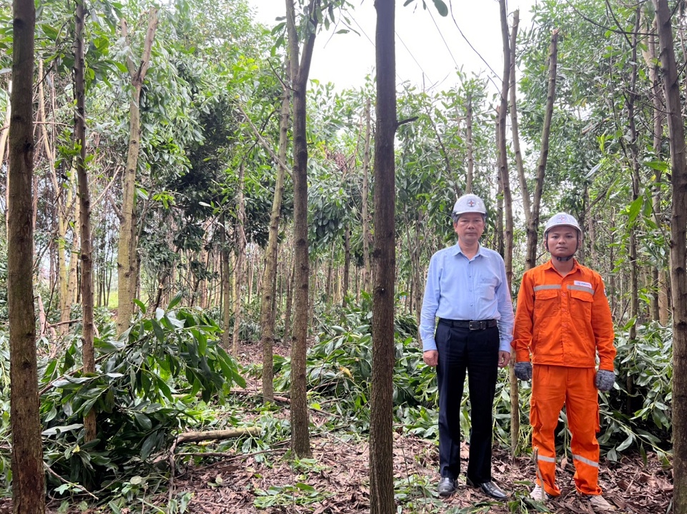 6dd2aa8912a5cdfb94b46