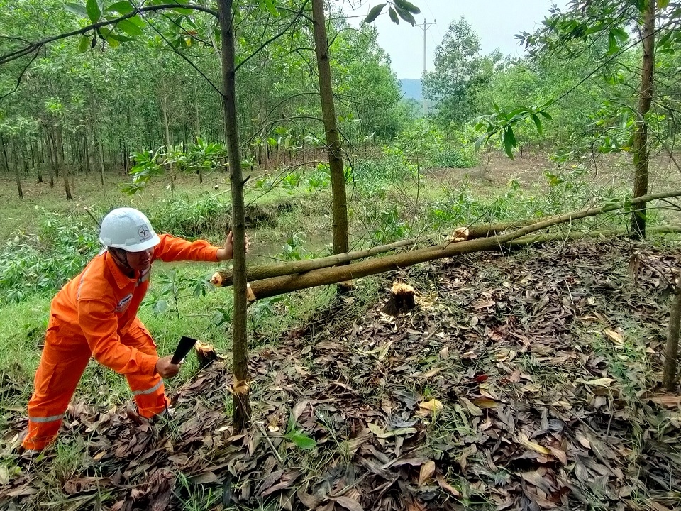 f26d0146f74c2812715d