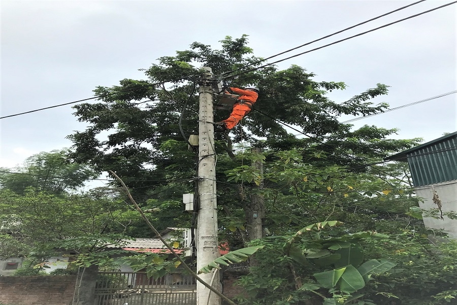 Công nhân Điện lực Thành phố Bắc Kạn xử lý, lắp đặt hệ thống thu thập dữ liệu đo xa