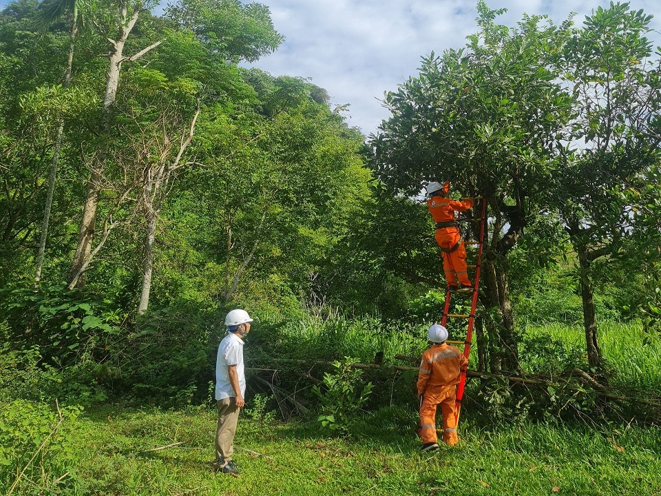 z4635069446462_a41369fbd7f2244c9f719279899768dc