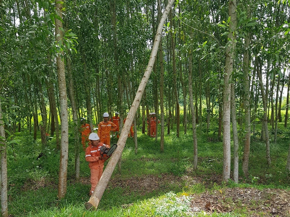 z4635070170791_66e712dee764f9b3dcd7472bf403a35c