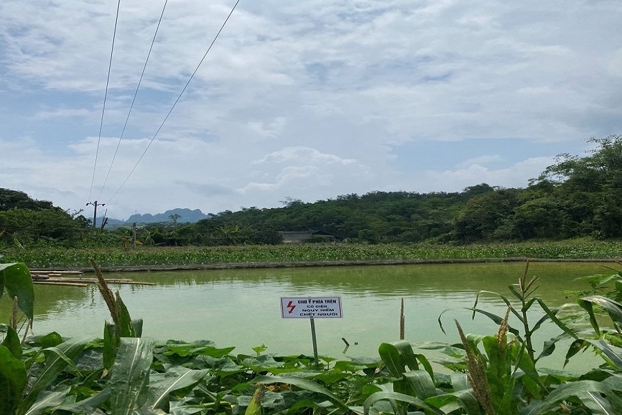 Biển báo an toàn cảnh báo được cắm tại vị trí đường dây đi qua ao cá của hộ dân