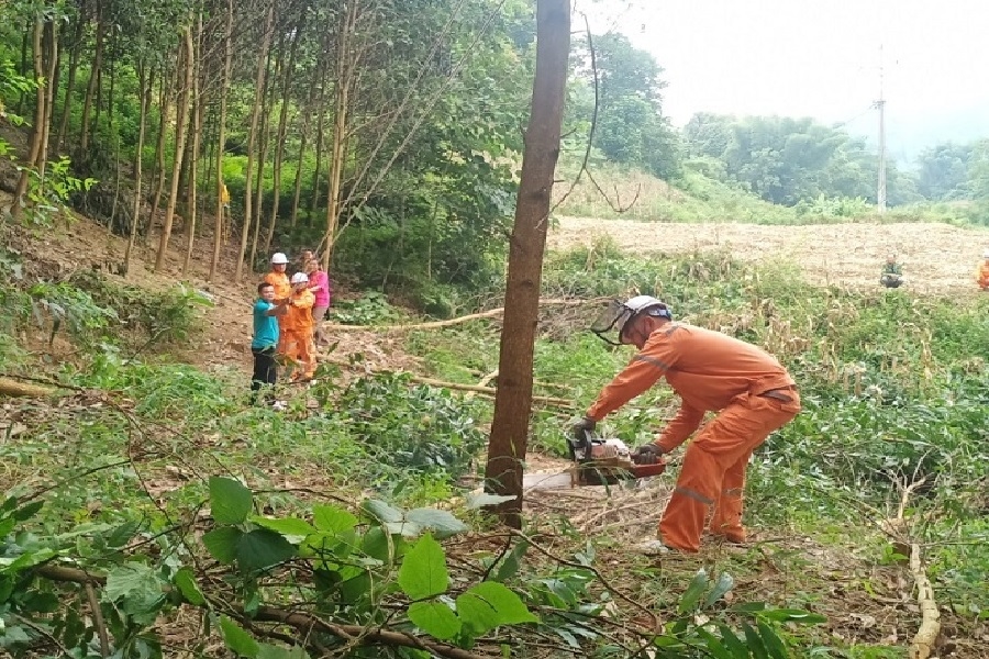 Đoàn thanh niên Điện lực Na Rì phối hợp với Đoàn xã Văn Lang phát quang hành lang tuyến đường dây 35kV111111111