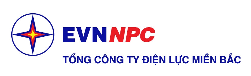 EVNNPC: Báo cáo kết quả đợt chào bán cổ phiếu ra công chúng của&nbsp; Công ty Cổ phần Thiết bị điện &nbsp;miền Bắc