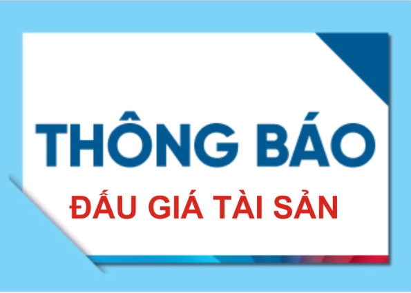 Công ty Điện lực Thái Bình thông báo thông tin đấu giá thanh lý vật tư thiết bị tài sản cũ không còn nhu cầu sử dụng (lô đợt 3 năm 2023)