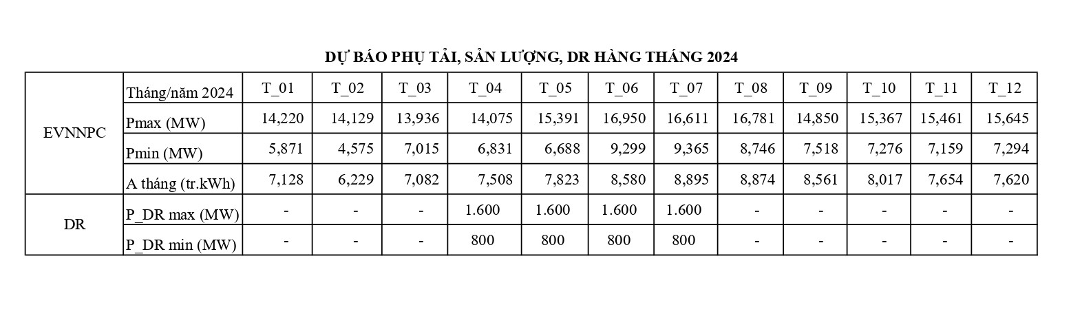 Phụ lục_DR_EVNNPC_2024 cpdf_page-0002