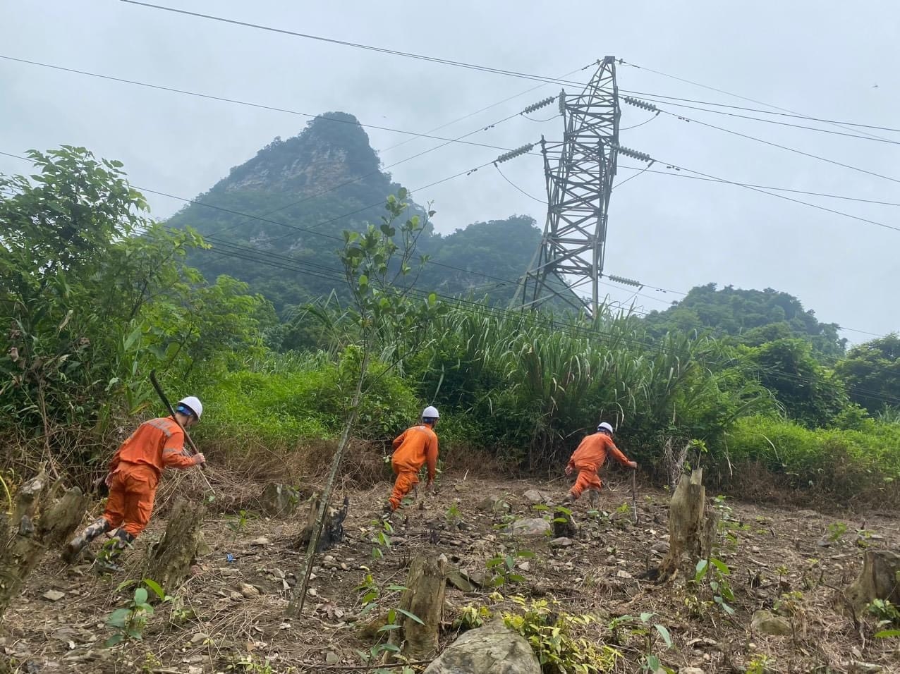 Công nhân Đội QLVH Lưới điện cao thế