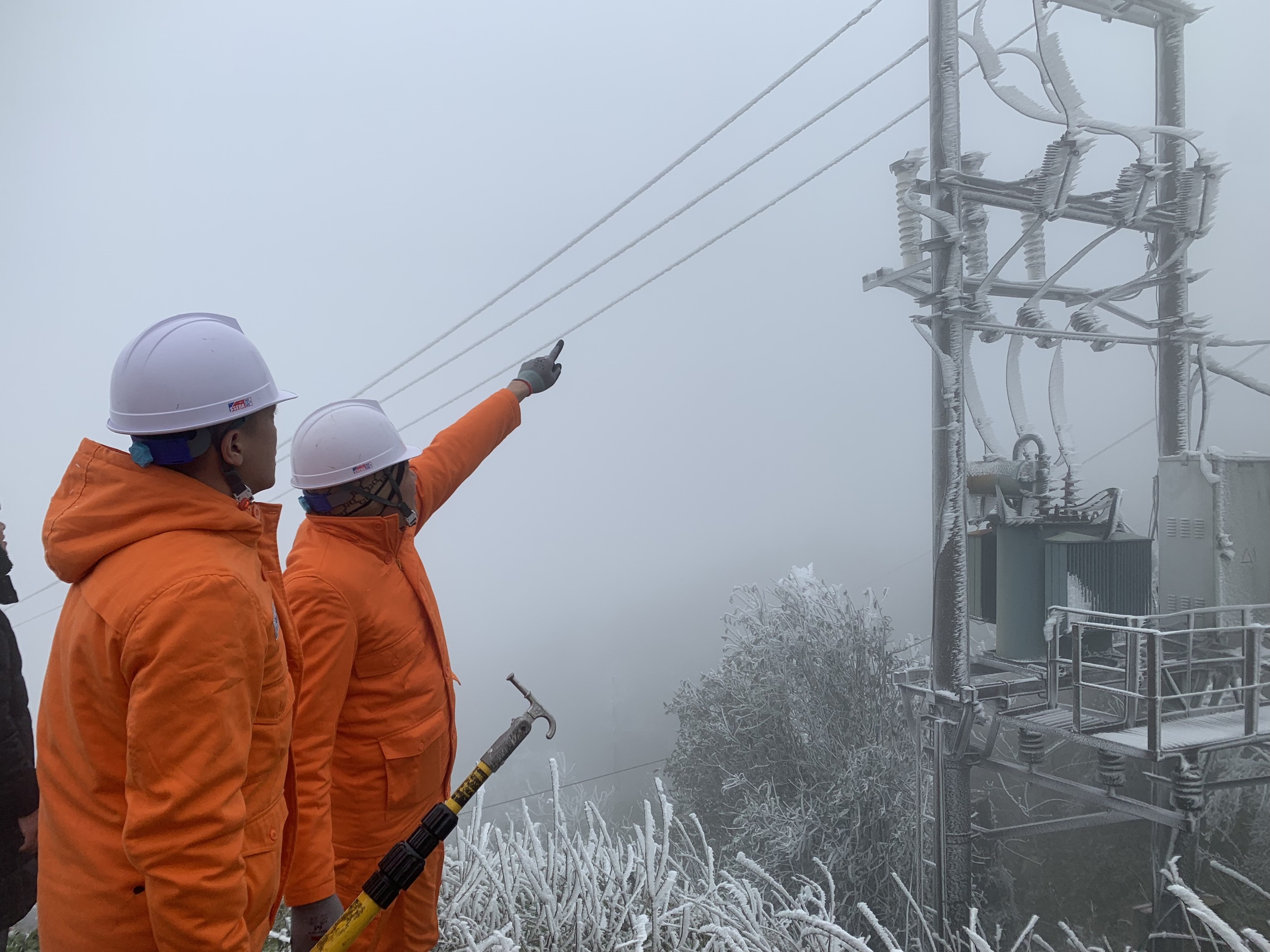 z5100900734862_9a06ddd03e29be927813a59cfa96d3be