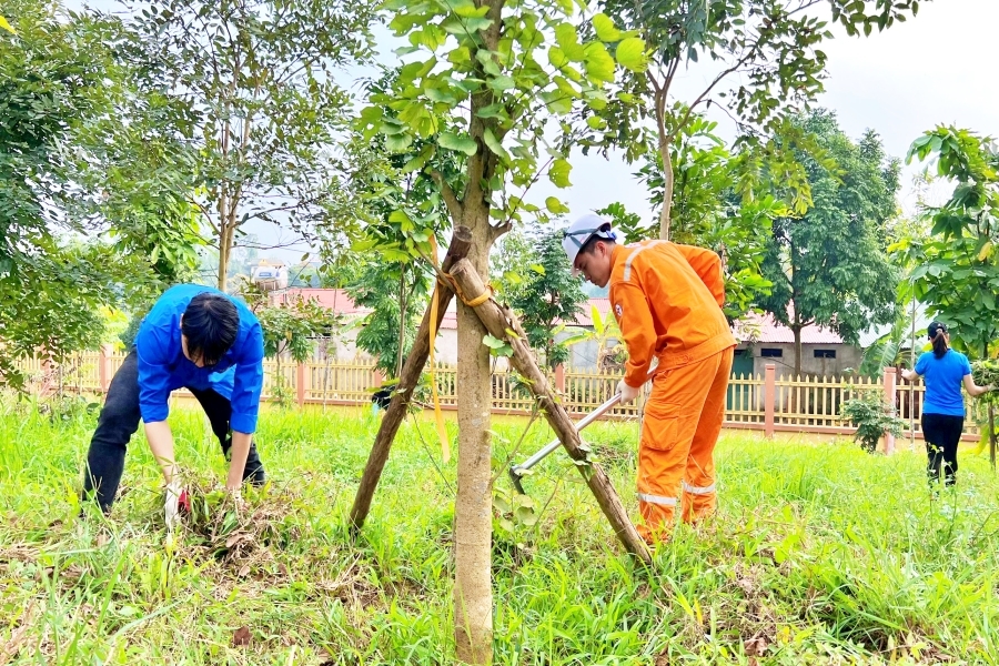 22ee511e9834356a6c25