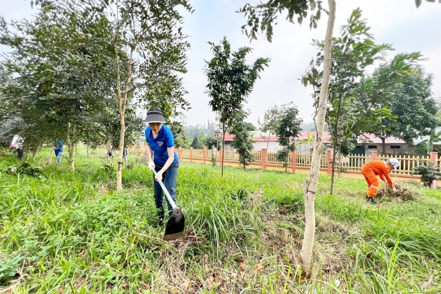 c78b0d6cc44669183057