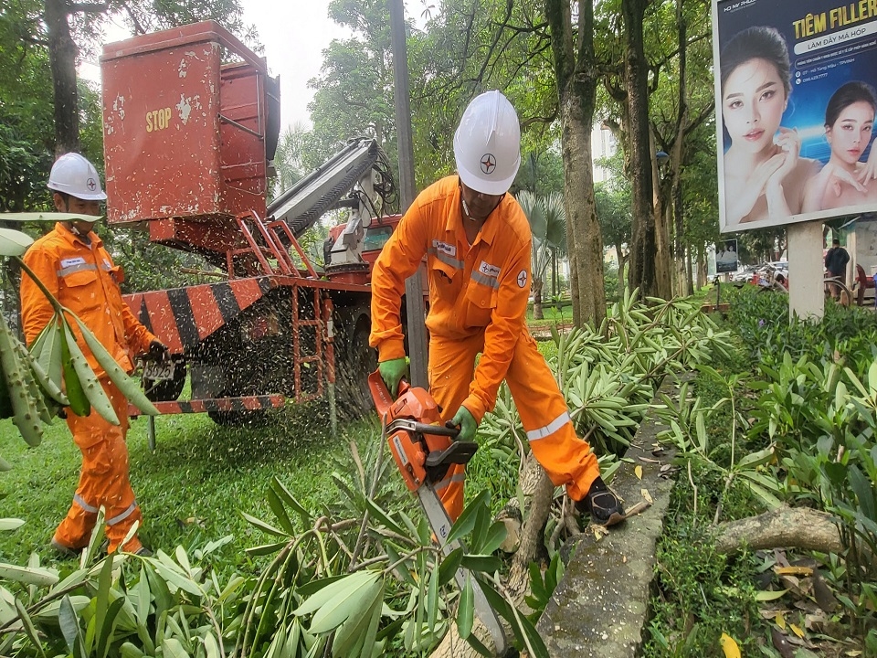 z4560284294072_e34bf6c55972ac467c146da3021a29a6