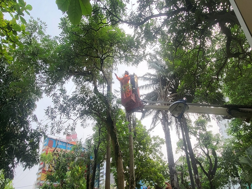 z4560286552172_138fb79ce23642c367fa888f9752d64a