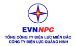 Công ty Điện lực Quảng Ninh 