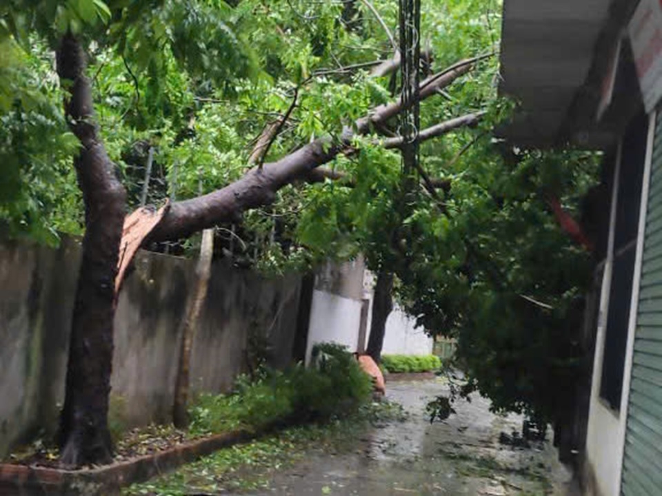 z5808727871220_a51631561cf8519982aad81a6e1ee6e0