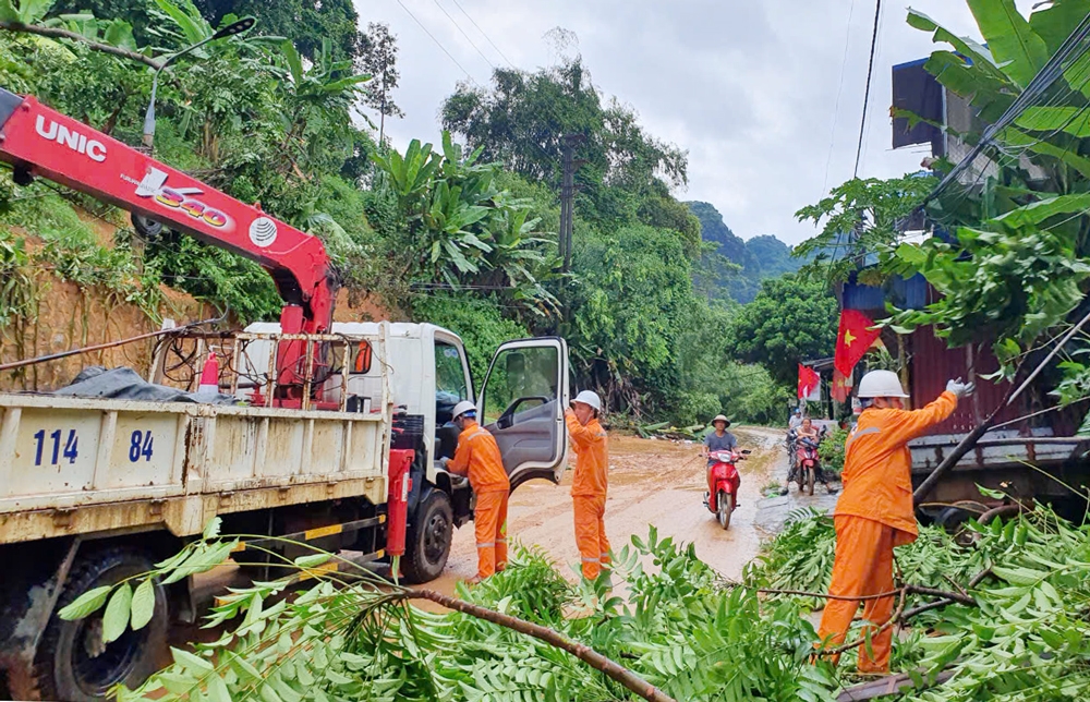 thai nguye