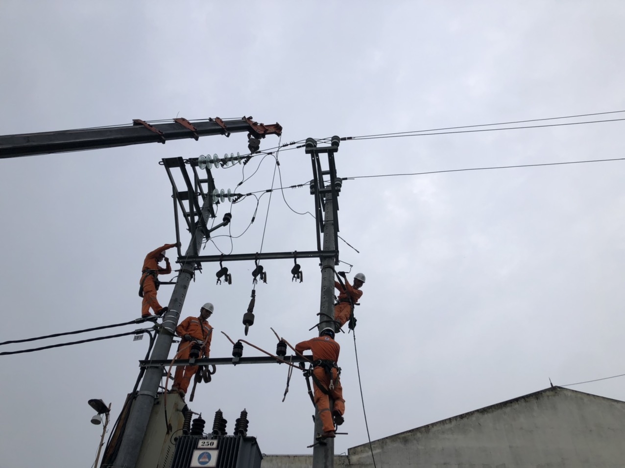 439014063_1083545229400139_6753165176735199199_n