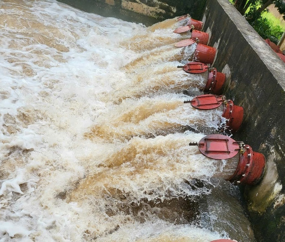 8ca5e5f7fe2573c1f718fef1170bbcbc