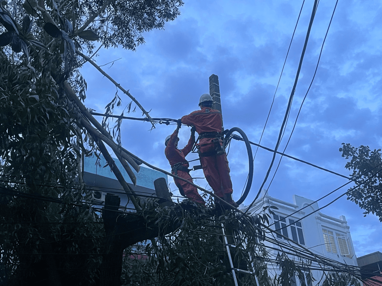 dad603786b37d7d612c114fe566f9e79