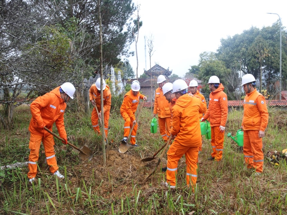 IMG_3788ĐLTPtrongcayleloi2