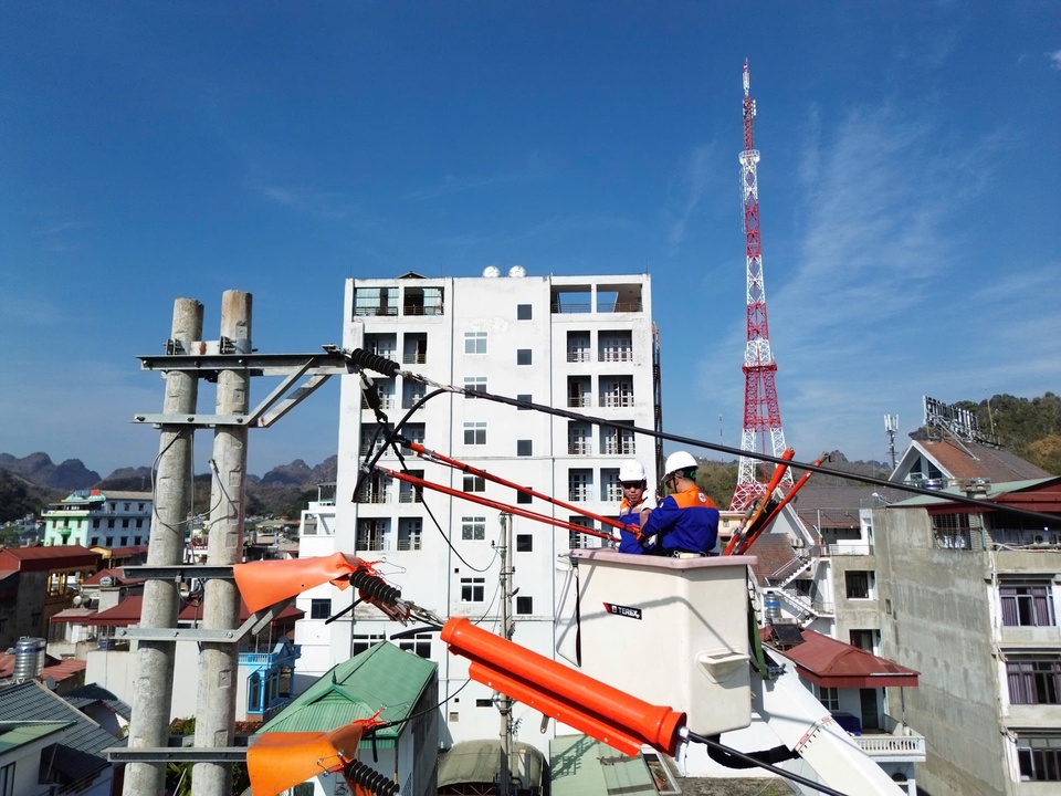 PCSLthiconghotline (14)