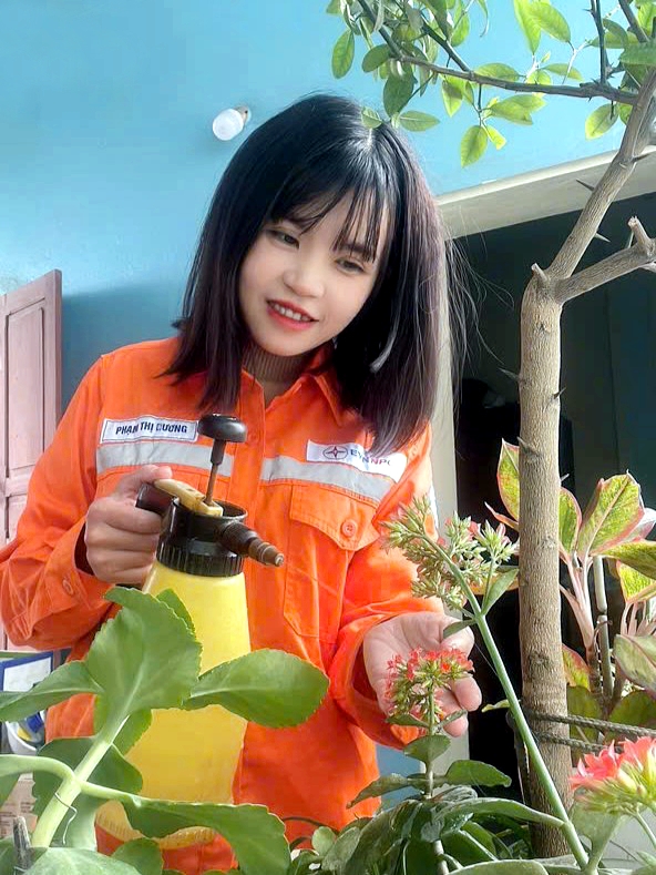 12cec2a6363a8764de2b