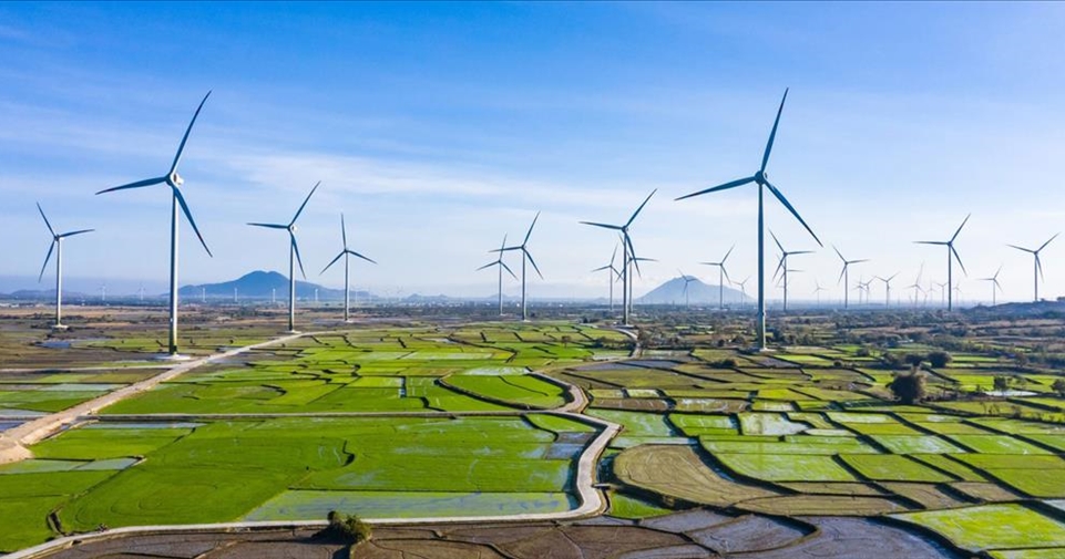 Chính phủ ban hành Nghị định số 58/2025/NĐ-CP: Hoàn thiện hành lang pháp lý thúc đẩy phát triển điện từ năng lượng tái tạo và năng lượng mới