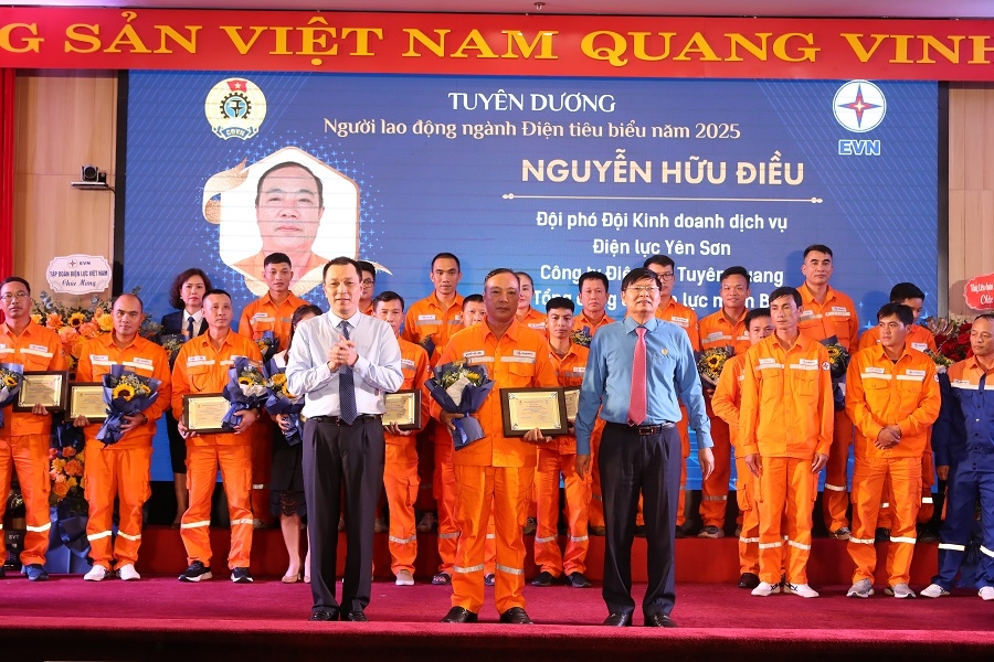 lao dong nganh dien tieu bieu 1