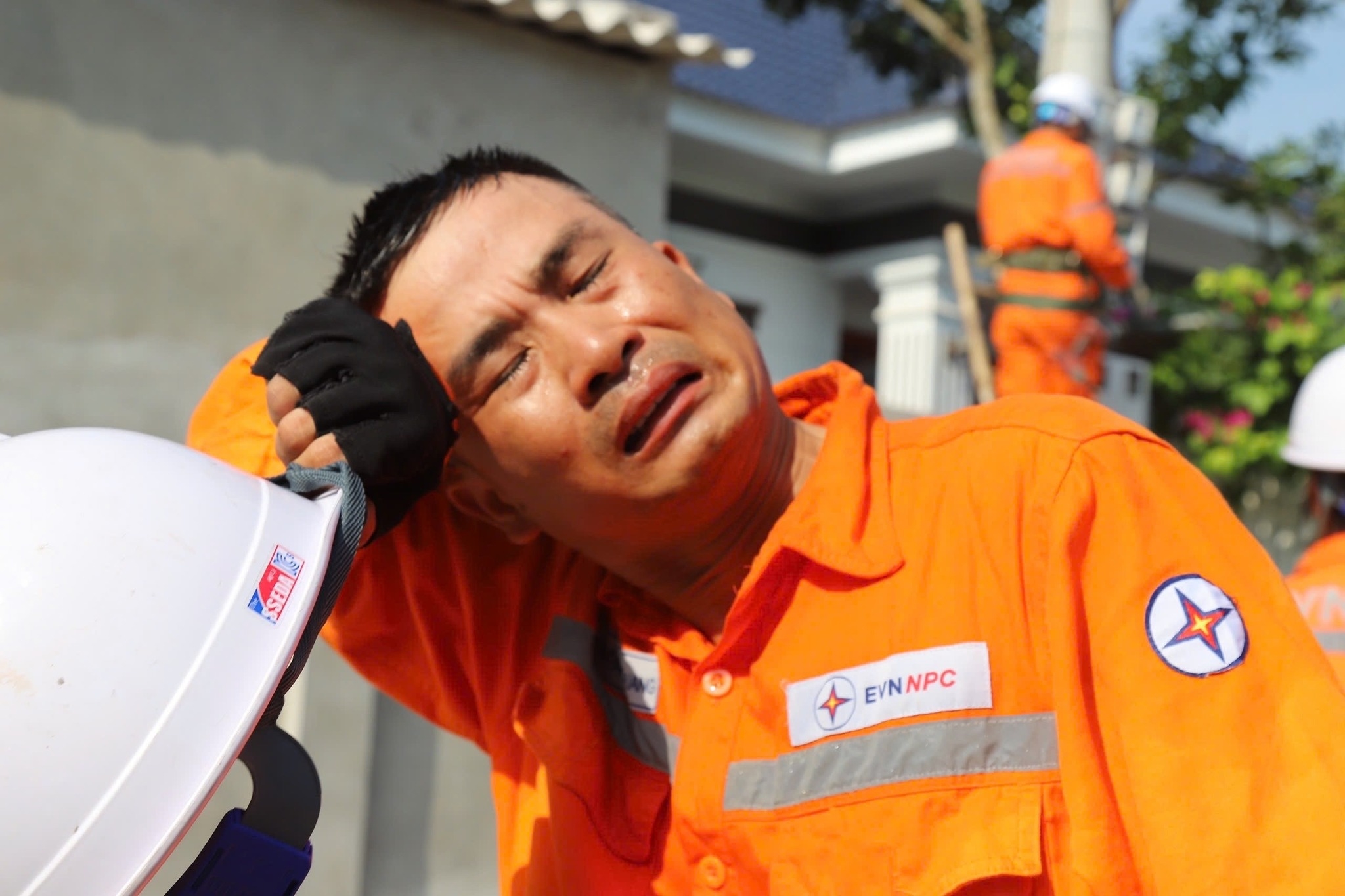 503312457_1161978095969835_8339078624198381802_n