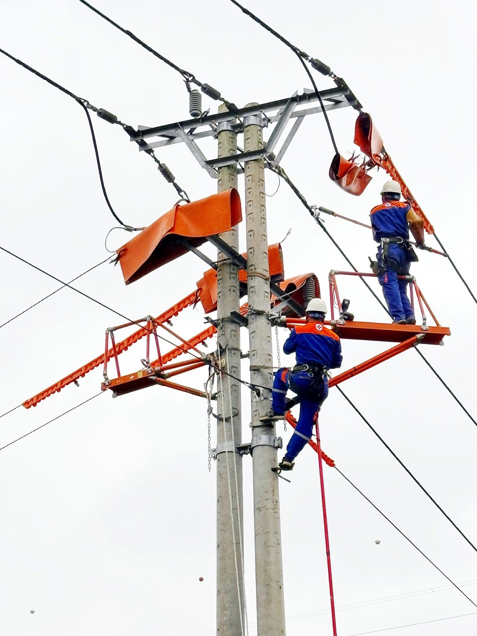 495646353_1142422027925442_3735661828942705397_n