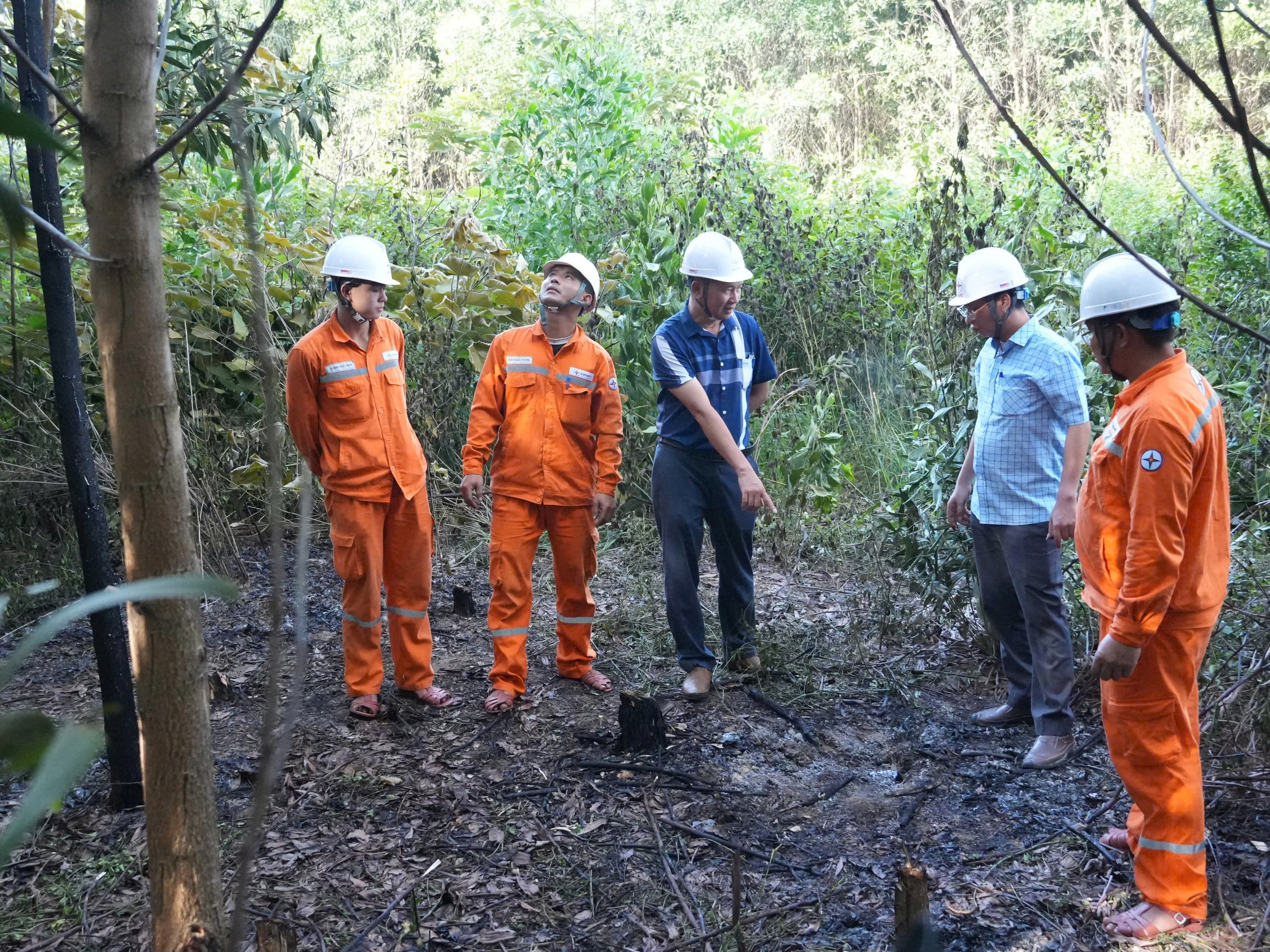 z6784191585032_84d779b36e2fc085f5be6aa4442b6d0a