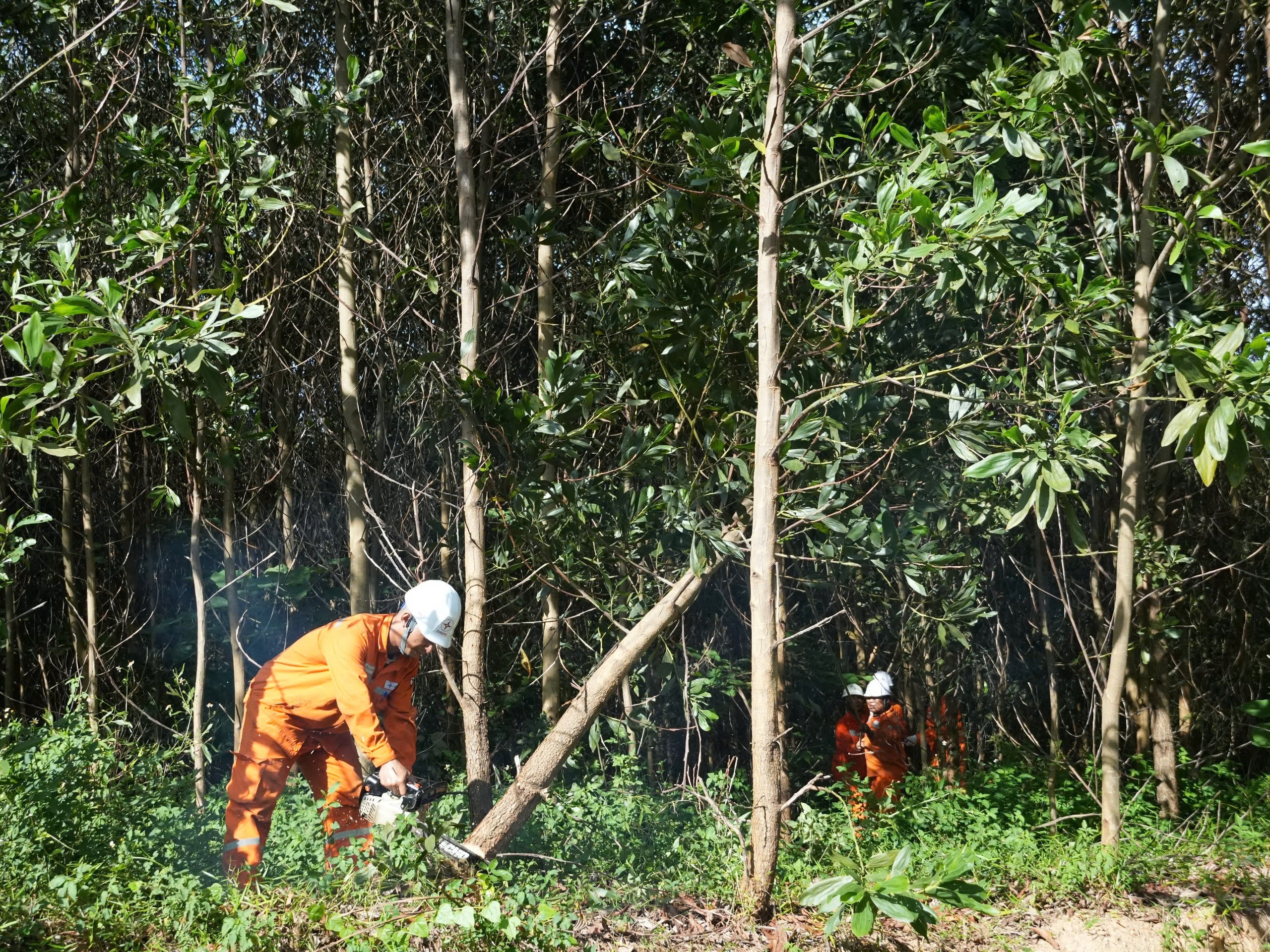 z6784192258579_30acc4e61e29347fe18e961f86792151