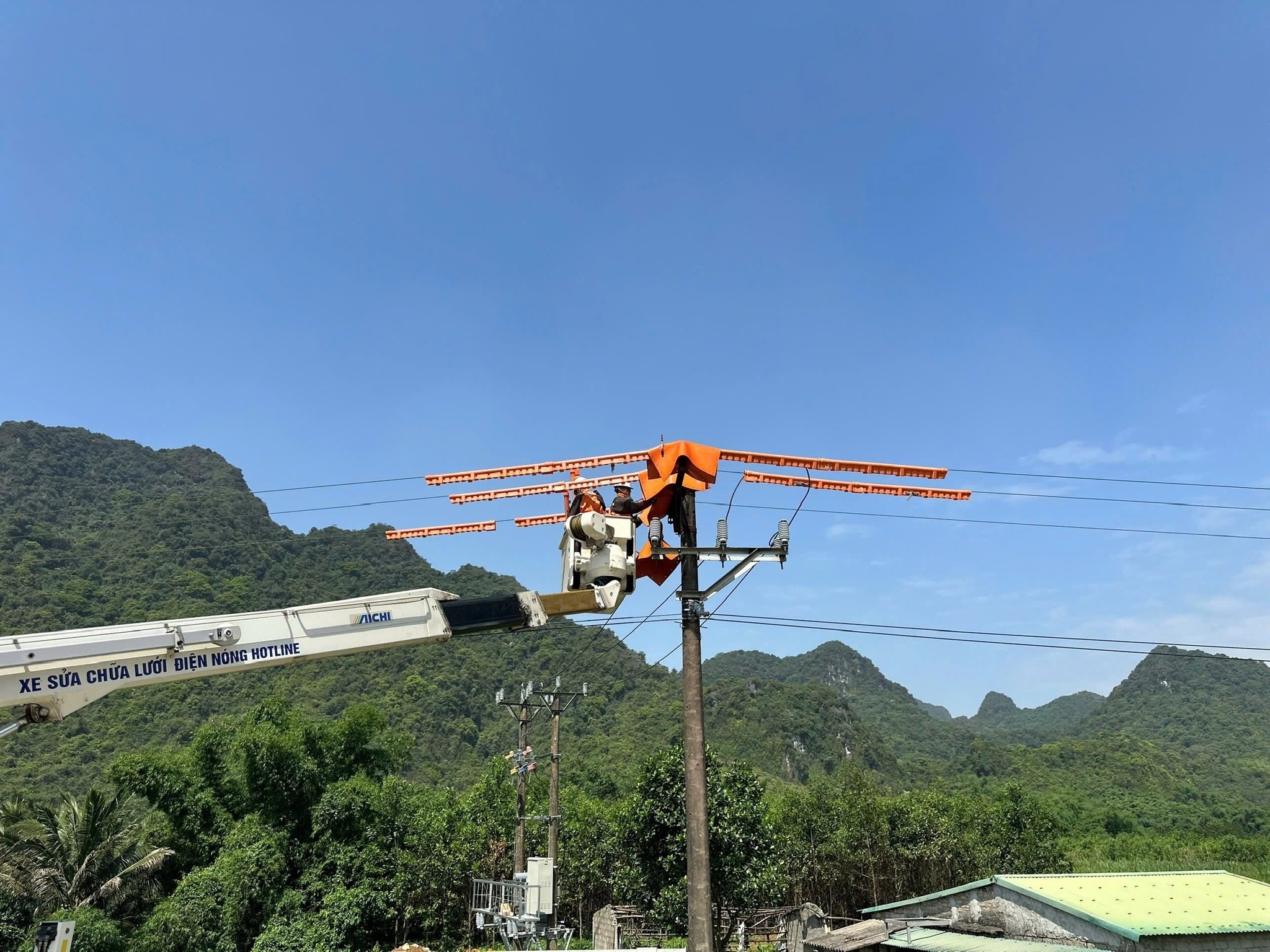 503289607_1161978669303111_6092257142016041727_n