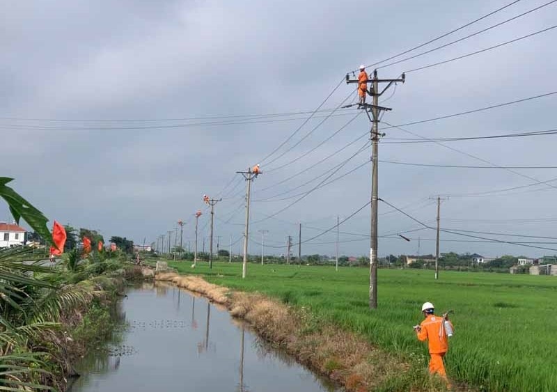 bed559f2c565175b84b187495d8b7db8 (1)