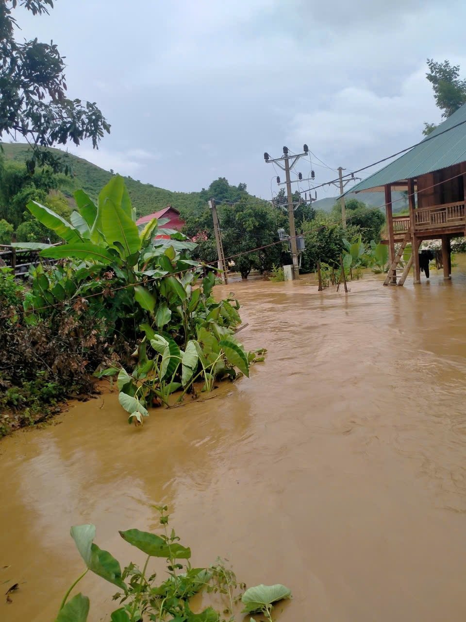 525756037_1212849017549409_1096479961398802157_n