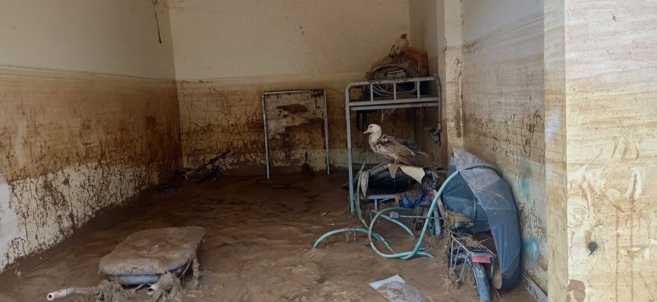 526145661_1212849097549401_2351209023509270325_n