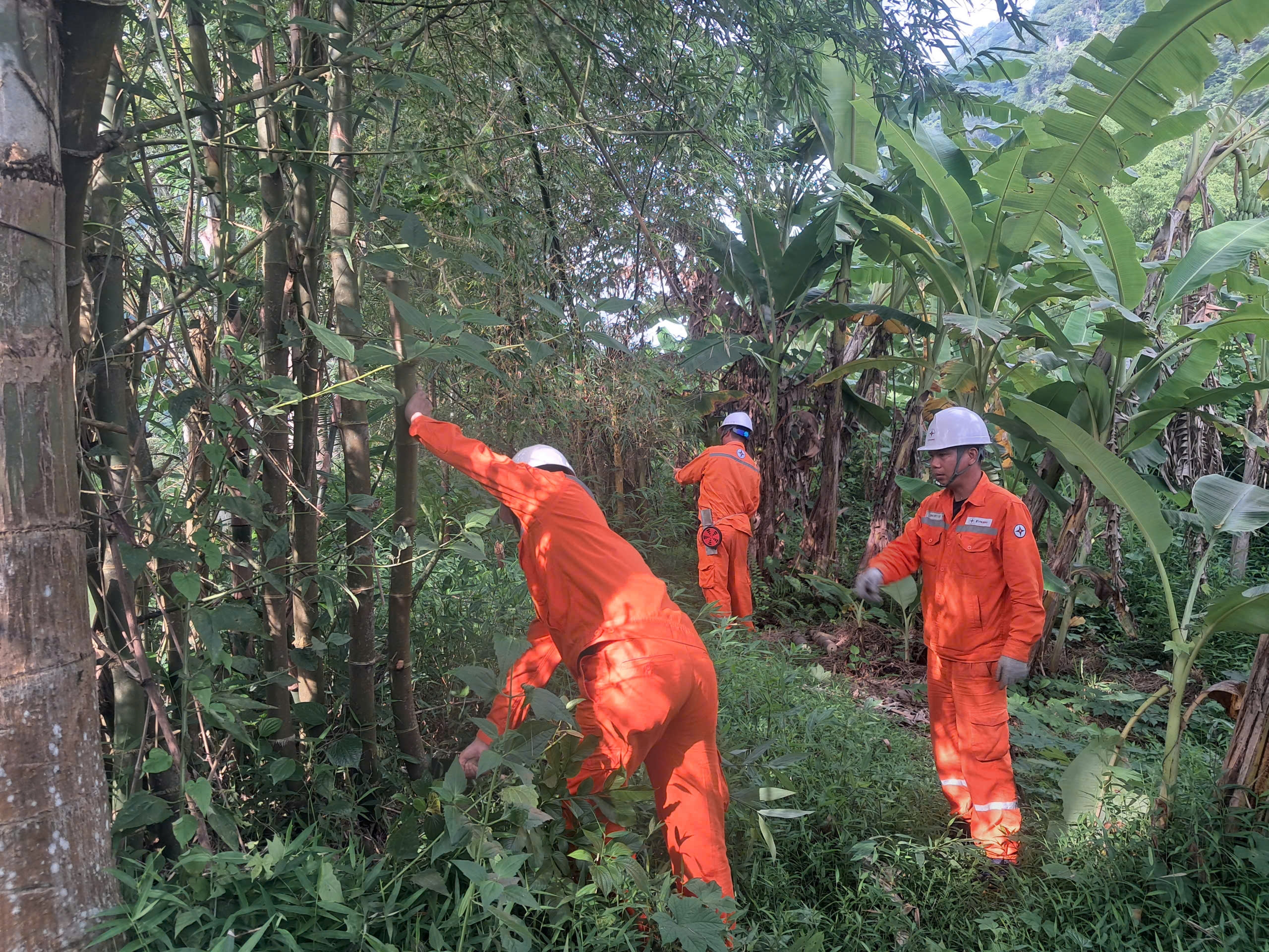 de2802ef275aae04f74b