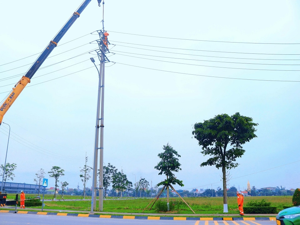 z6903057650969_16445bc60cede06bee7c2bfb83e8a589