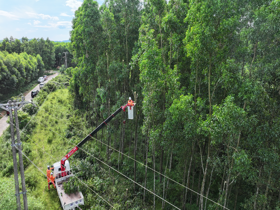 DJI_20250620024600_0133_D