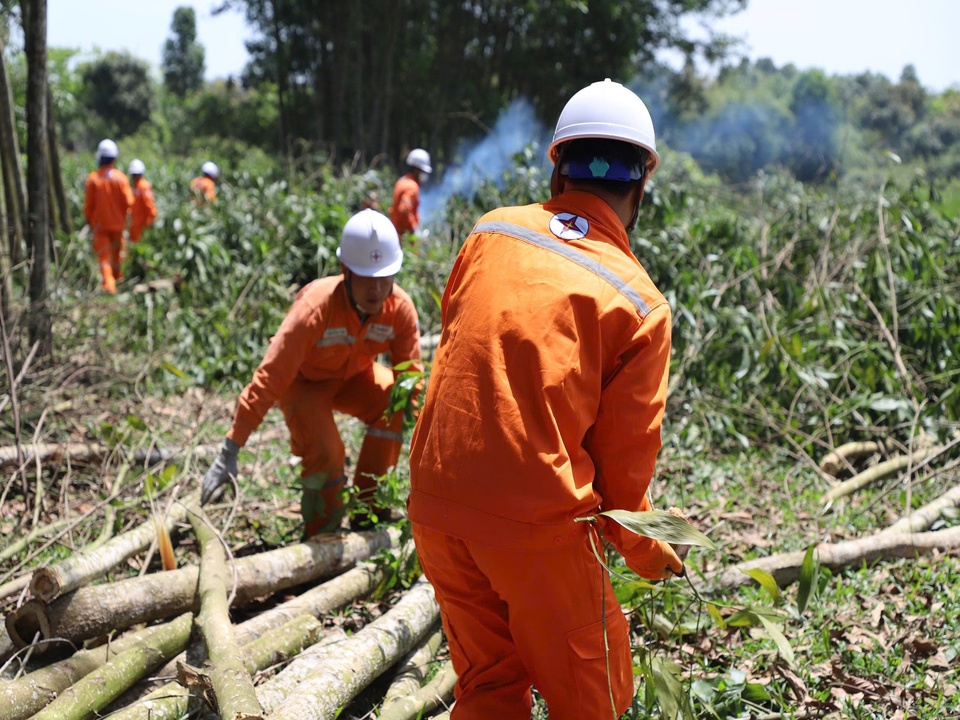 z6902910319641_b16d51643b1c77ad93af82ff59b6fd0a