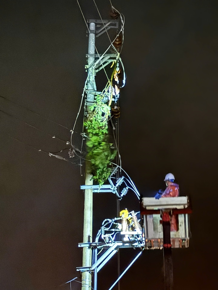 z6944642798914_61dfd9687f47a6b4c35e5baa24db73b3