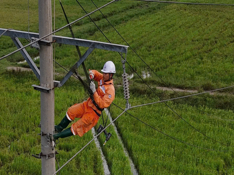 z6954116605802_0a1d789818baba7ab5e015d8933e8331