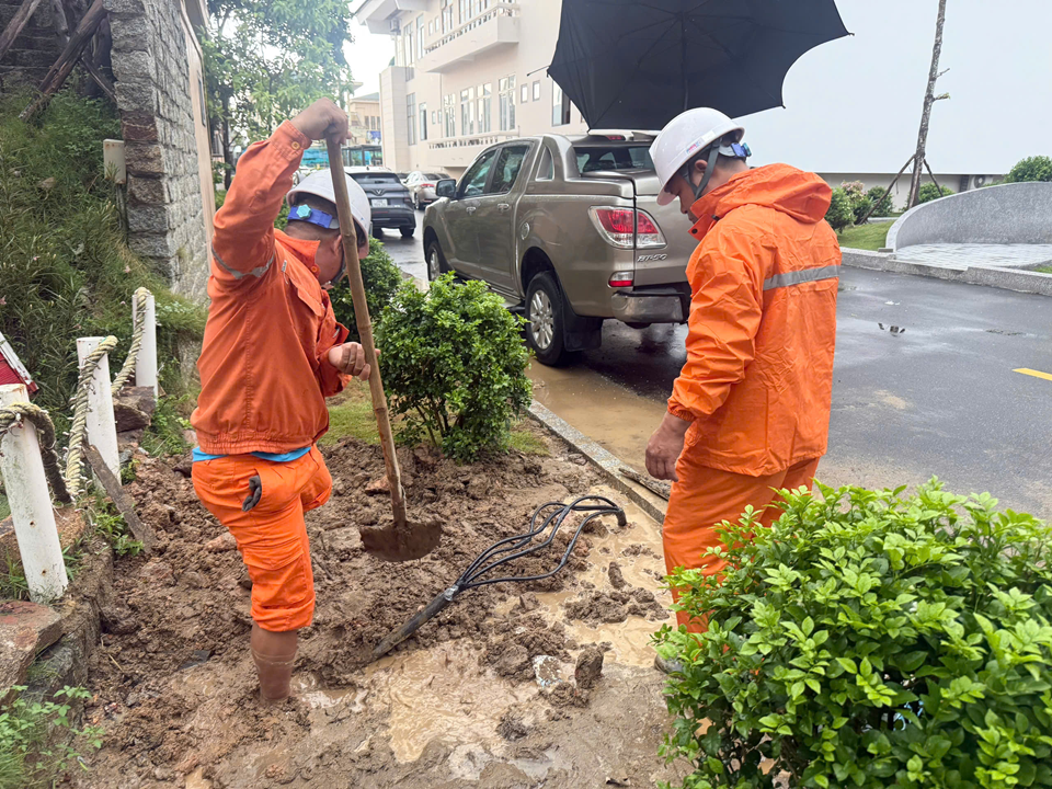 z7054837963826_010_6a4d3b86a81e1e54261f336bc7577828