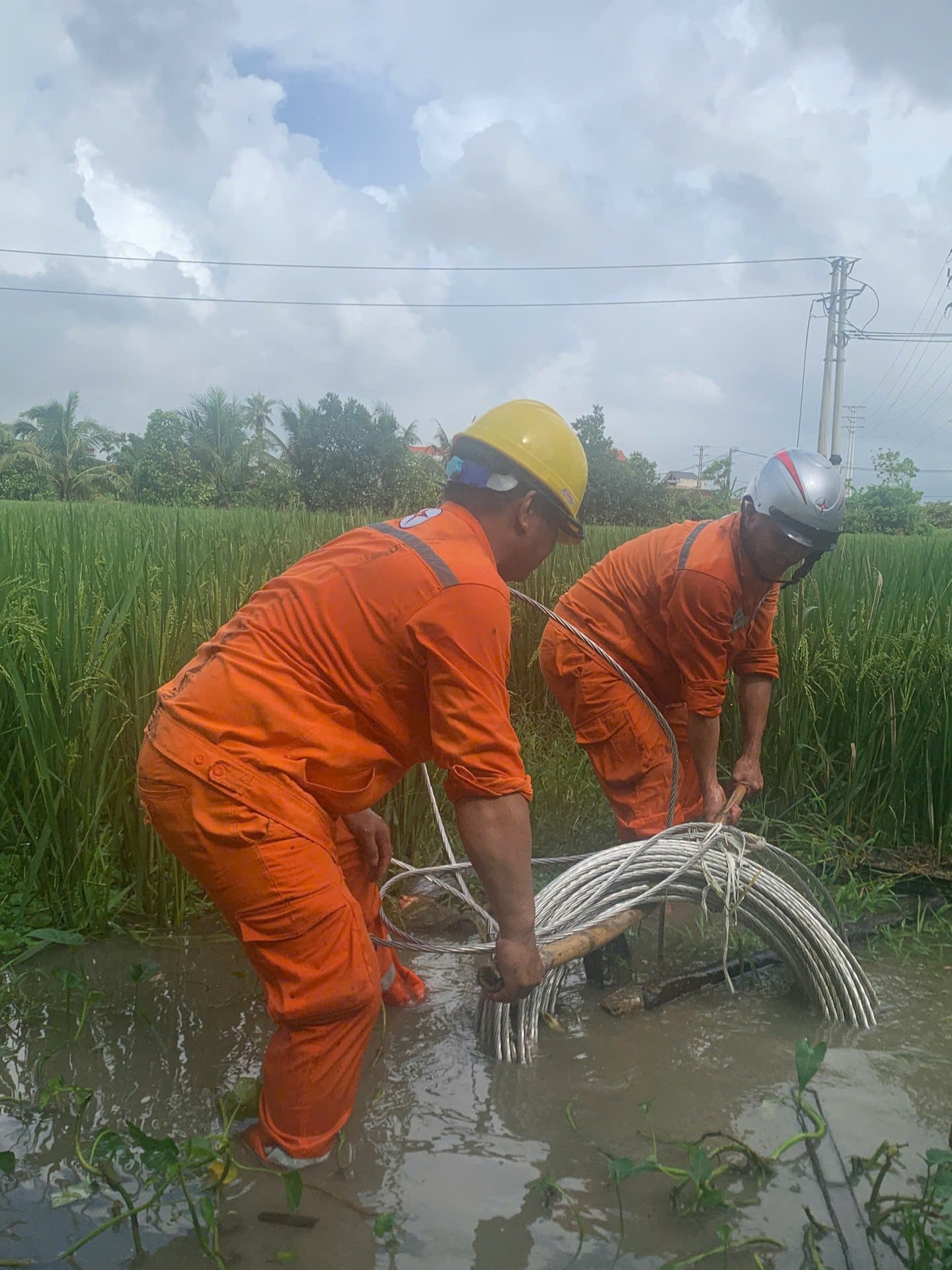 04c59443229ba8c5f18a