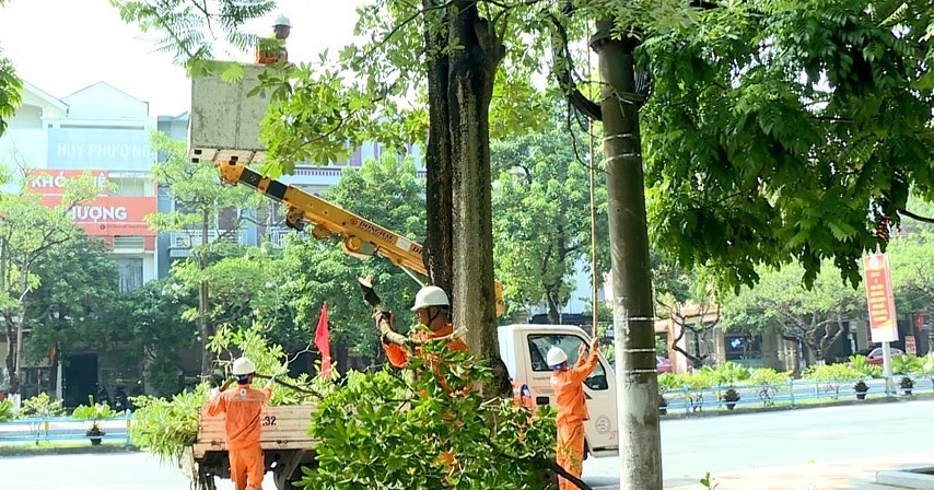 Công ty Điện lực  Hưng Yên không ngừng nỗ lực đảm bảo an toàn hành lang lưới điện