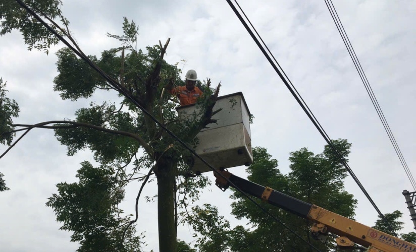 47a58acccd4d9047e22697c5e90e3017