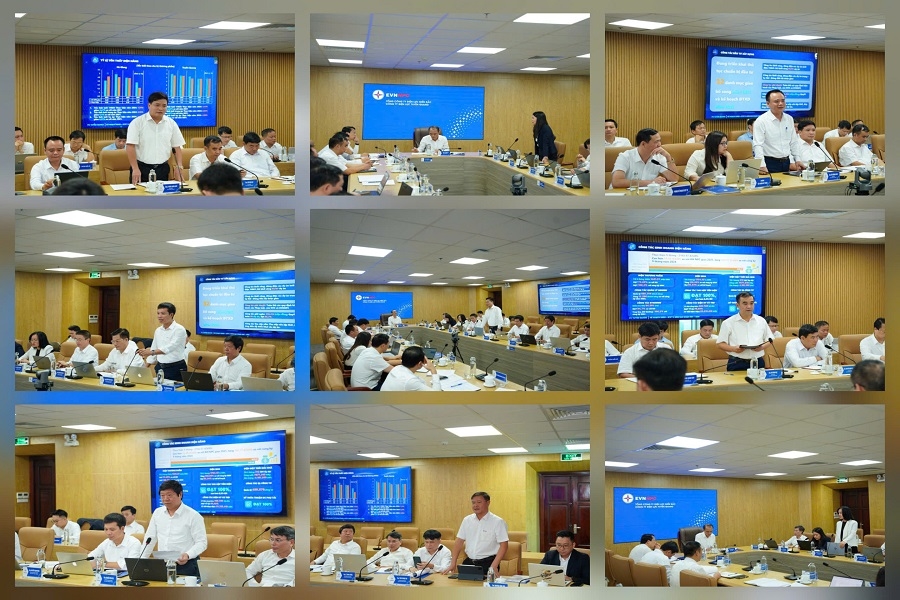 Doan cong tac EVNNPC lam viec voi PCTQ 5